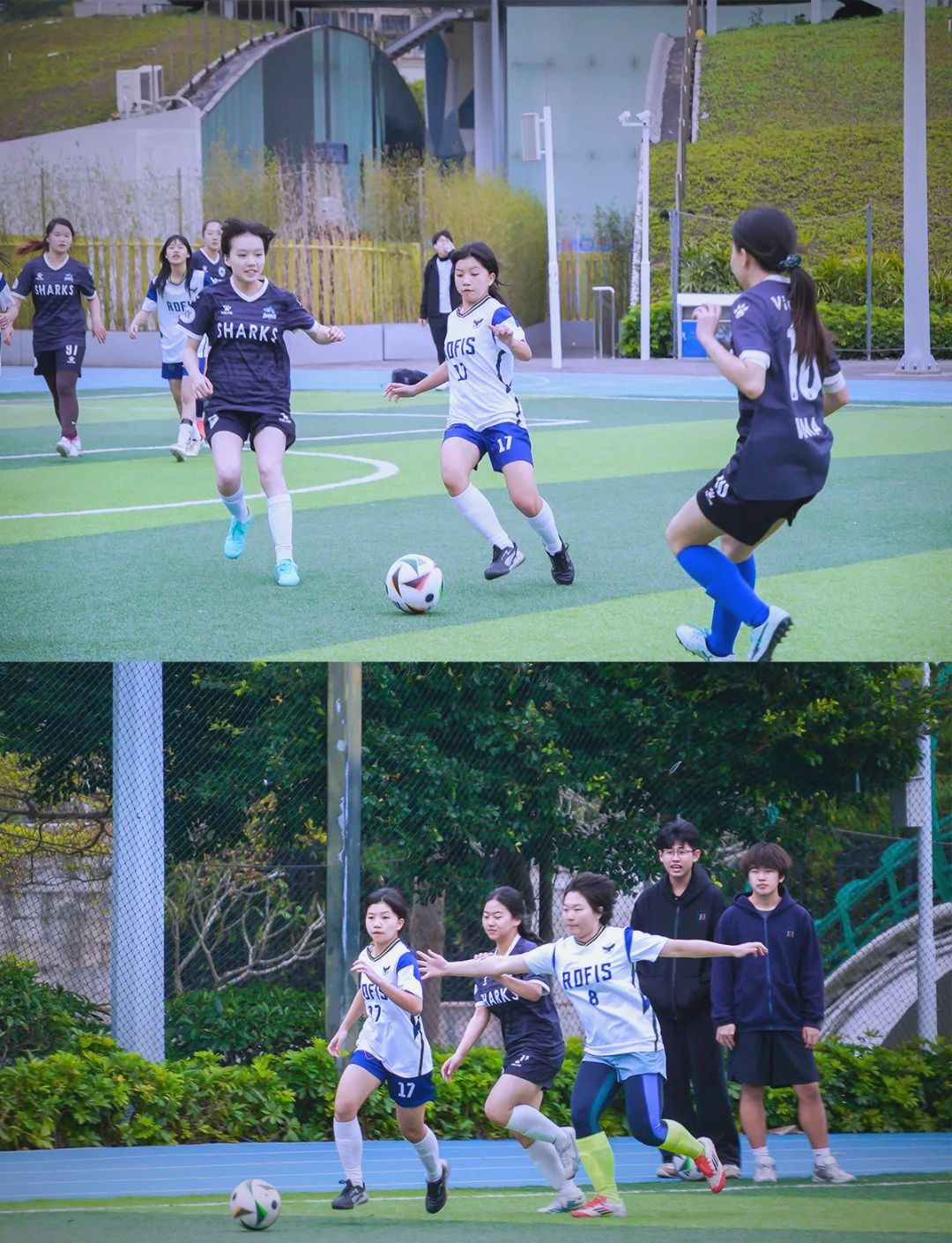 激情碰撞：女足顶级赛事精彩纷呈的简单介绍