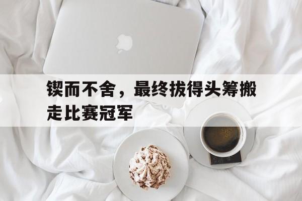 锲而不舍，最终拔得头筹搬走比赛冠军