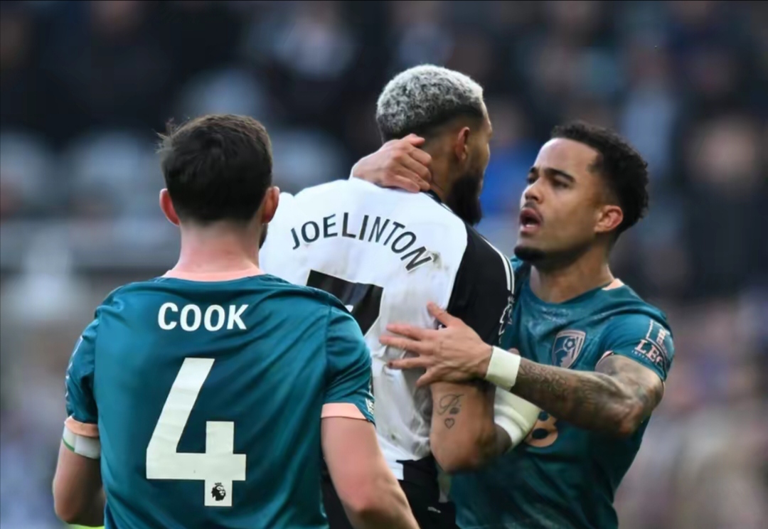 纽卡斯尔后卫表现被曝光，球迷谈误打误