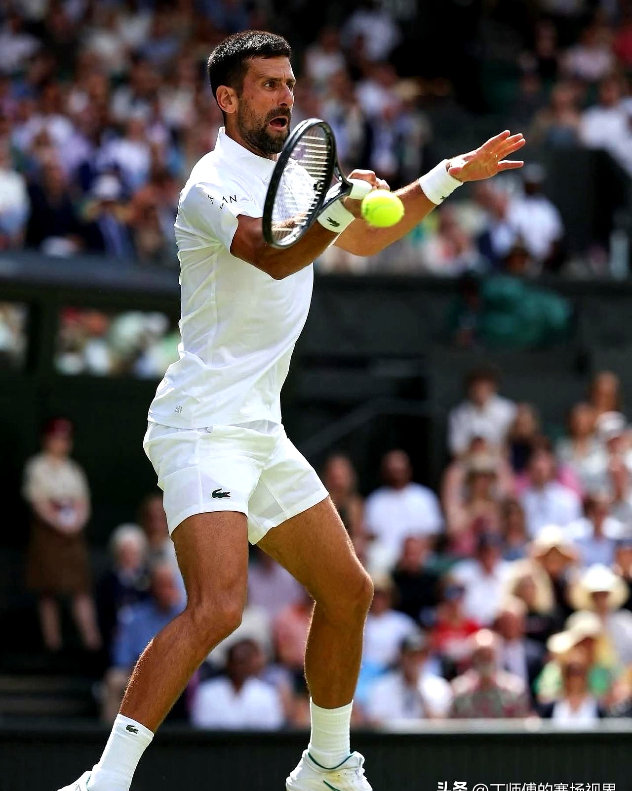 包含法国网球队强势西班牙网球队,德约科维奇关键制胜的词条 包含法国网球队强势西班牙网球队,德约科维奇关键制胜的词条