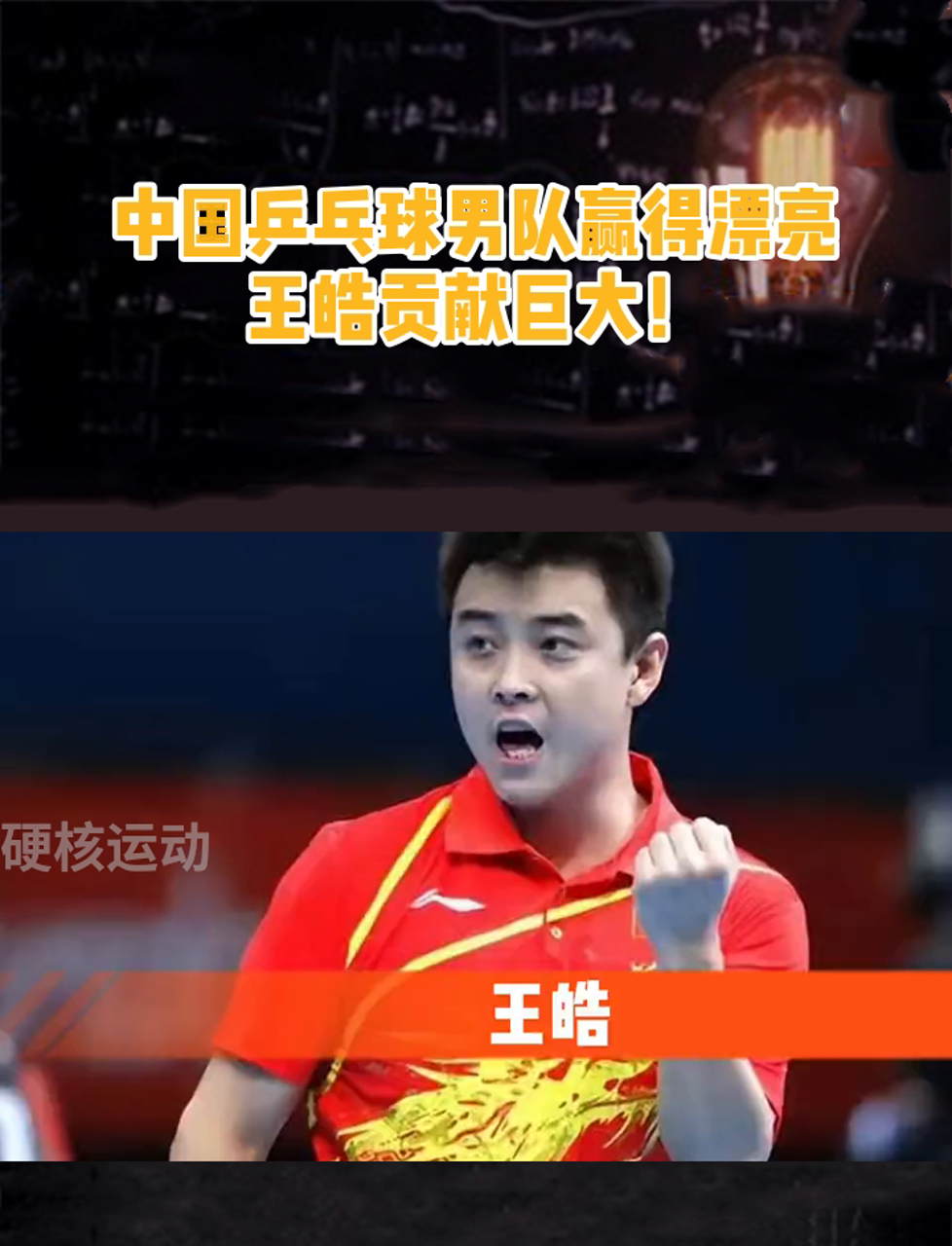 比利时乒乓球队翻盘法国乒乓球队，王皓高光表现的简单介绍