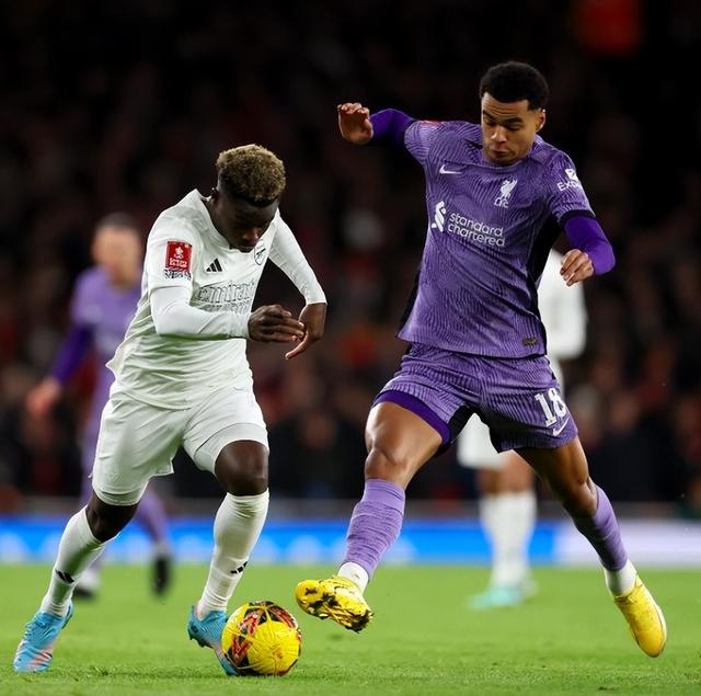 焦点大战：游泳上演巅峰碰撞的简单介绍